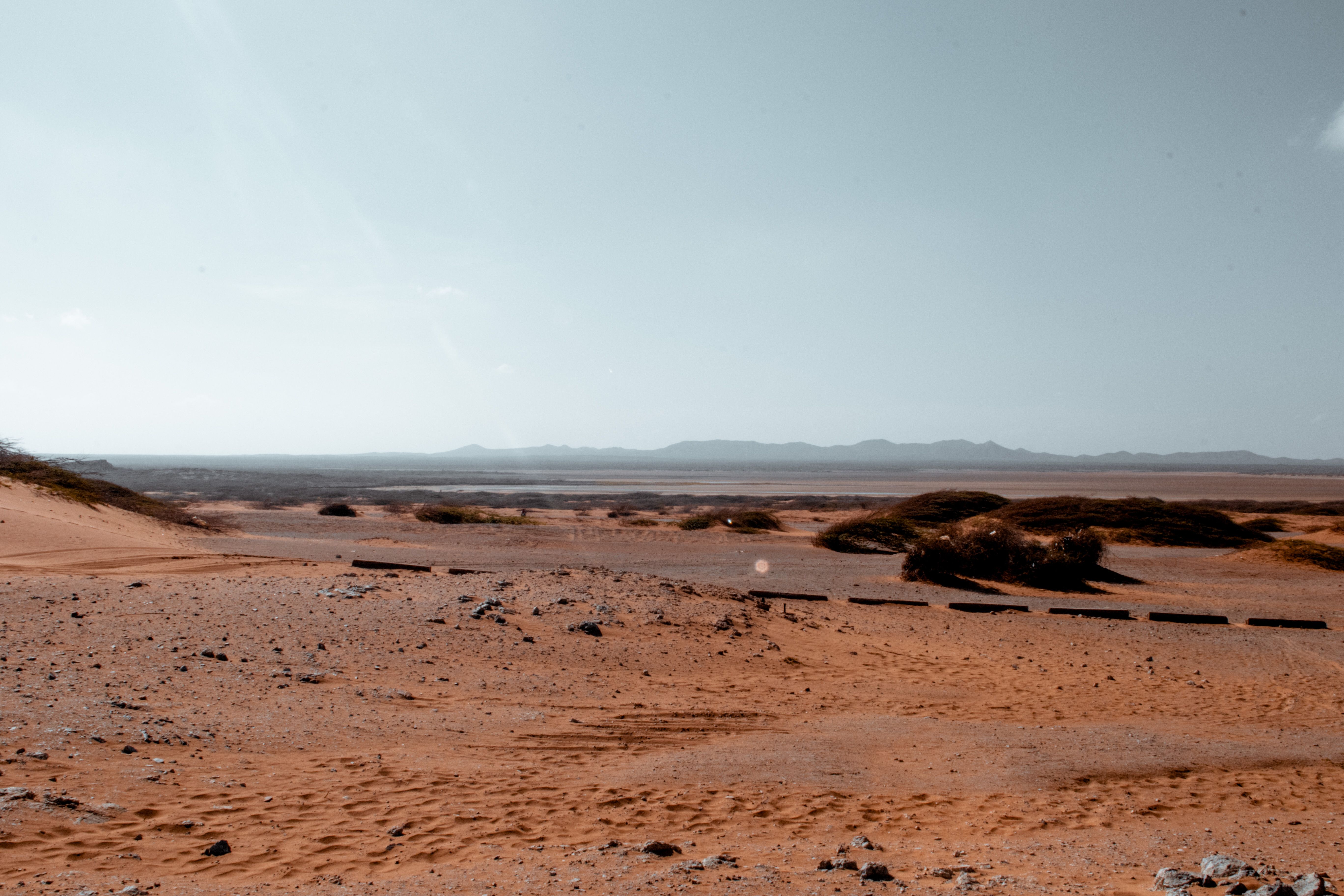 Arid degraded desert landscape with sparse invasive scrub